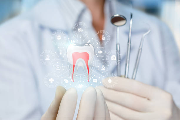 Reliable Alexandria, LA  Holistic Dental Services Solutions